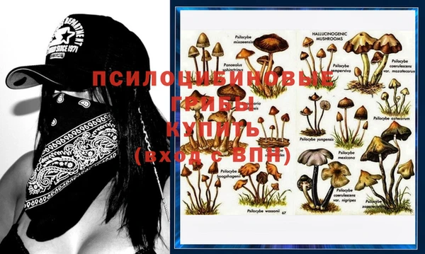 молекула духа Алексин