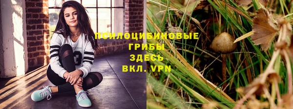 молекула духа Алексин