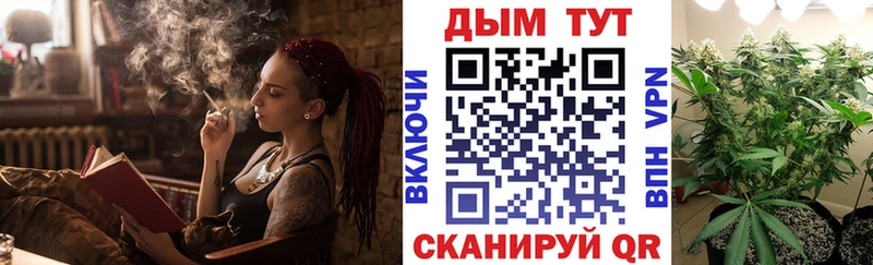 продажа наркотиков Чадан Конопля OG Kush